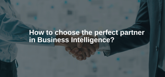 How to choose the perfect partner in business intelligence
